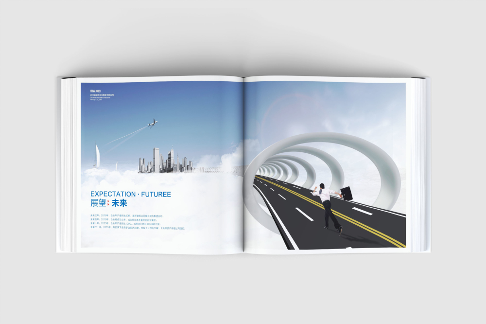 金川区画册设计